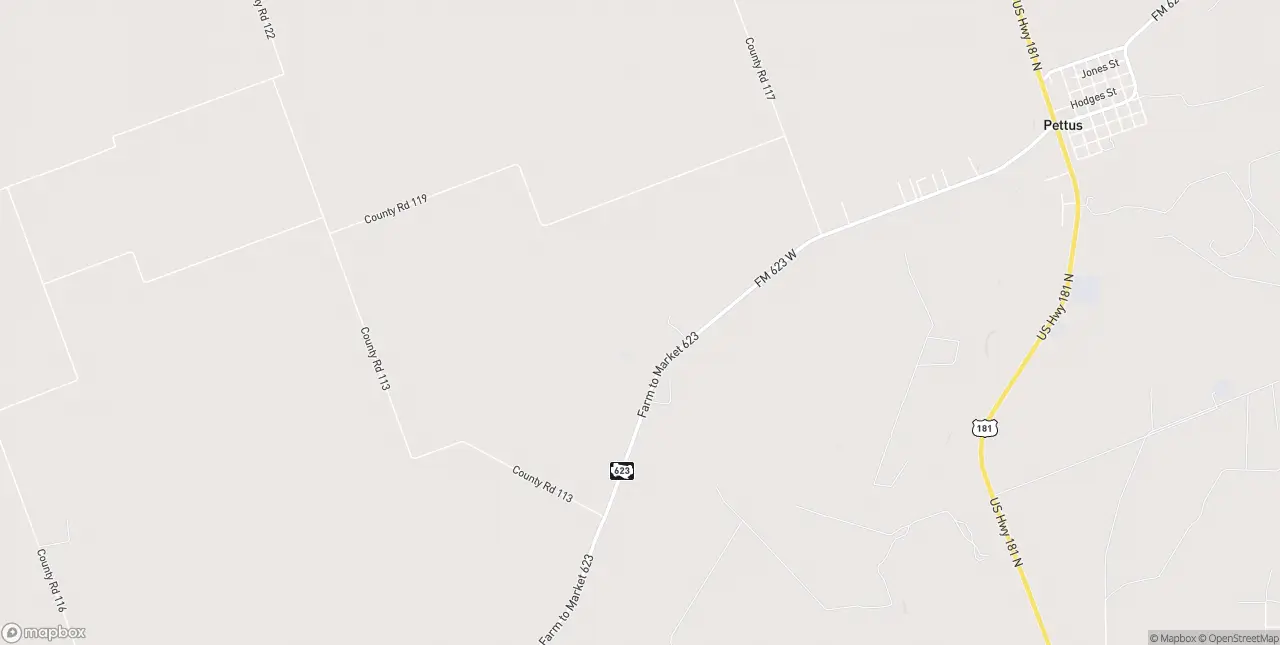 Internet in Pettus