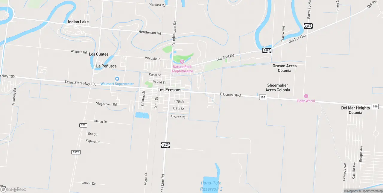 Internet in Los Fresnos
