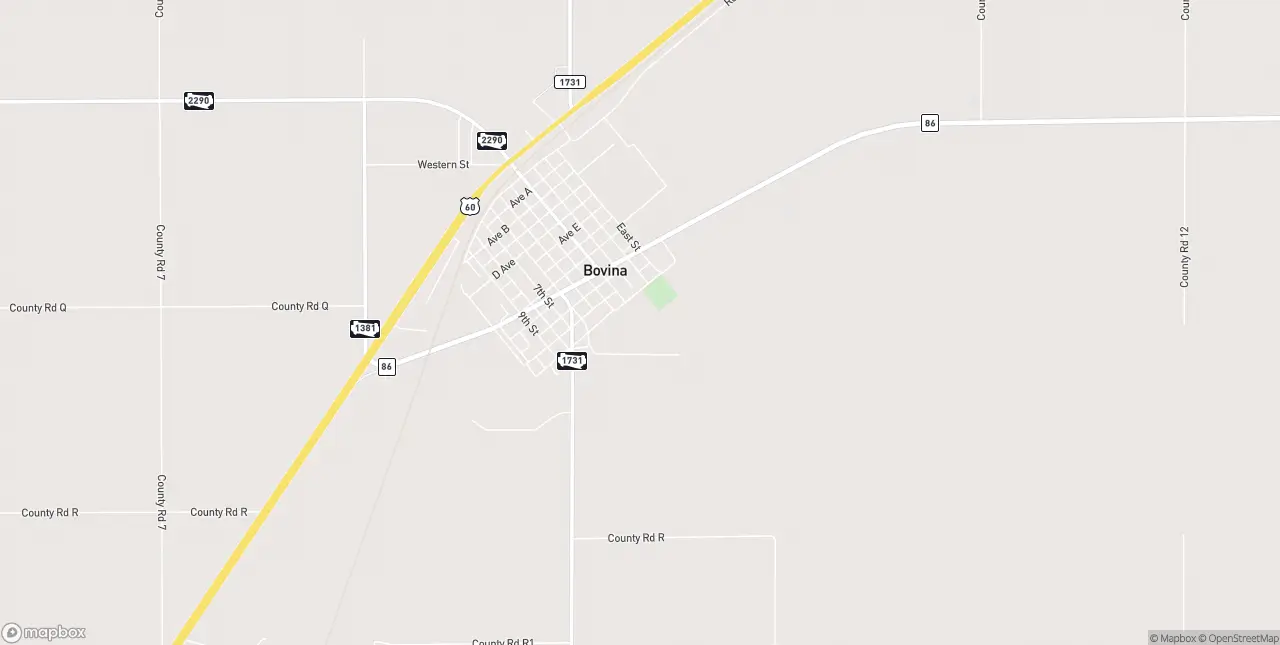 Internet in Bovina
