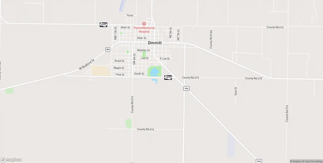 Internet in Dimmitt