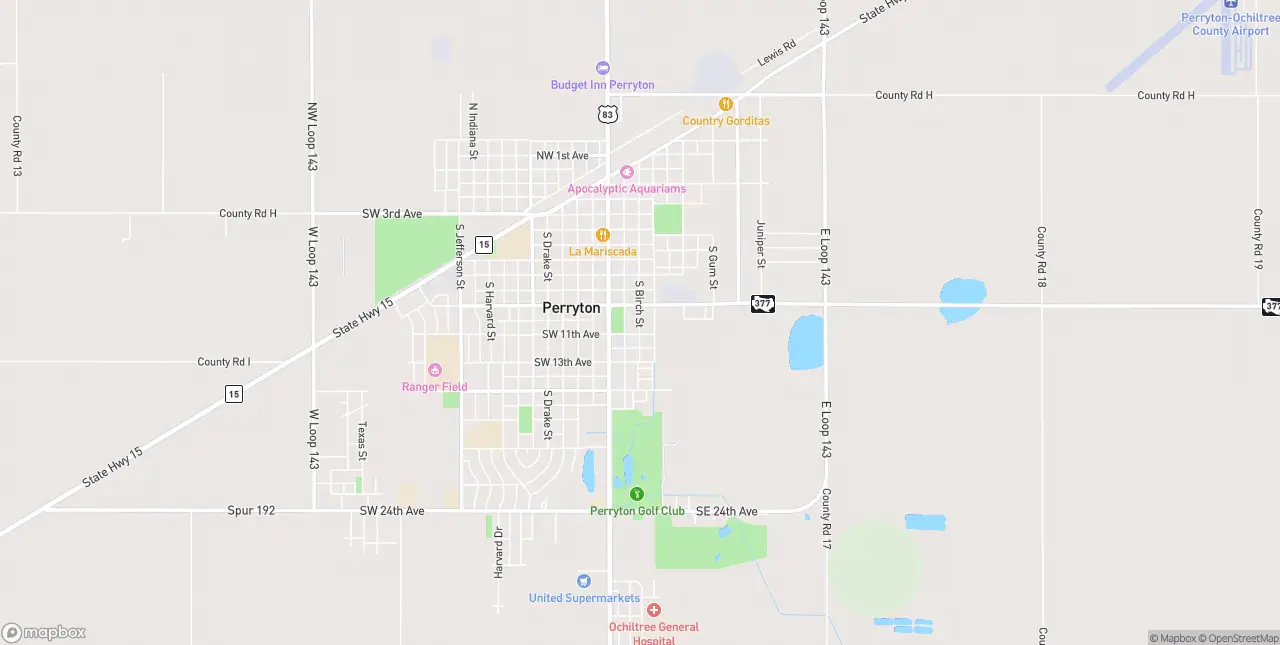 Internet in Perryton