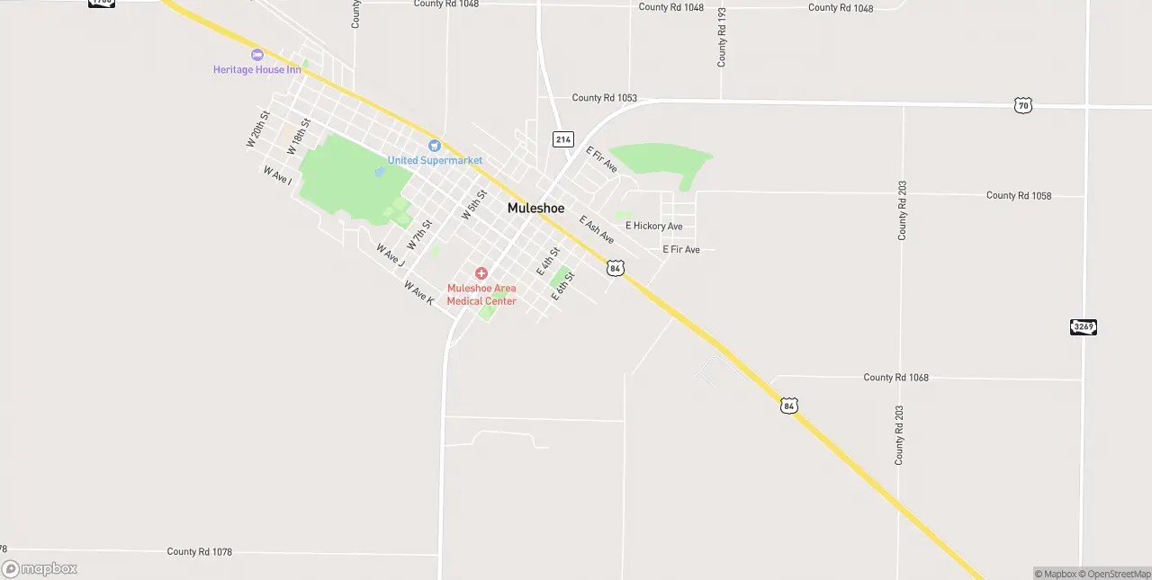Internet in Muleshoe