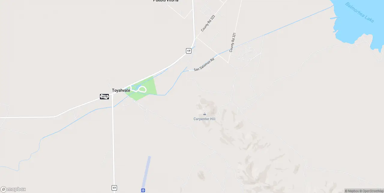 Internet in Toyahvale
