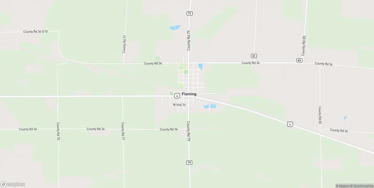 Internet in Fleming