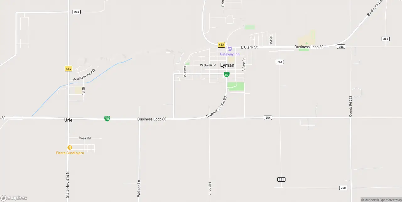 Internet in Lyman