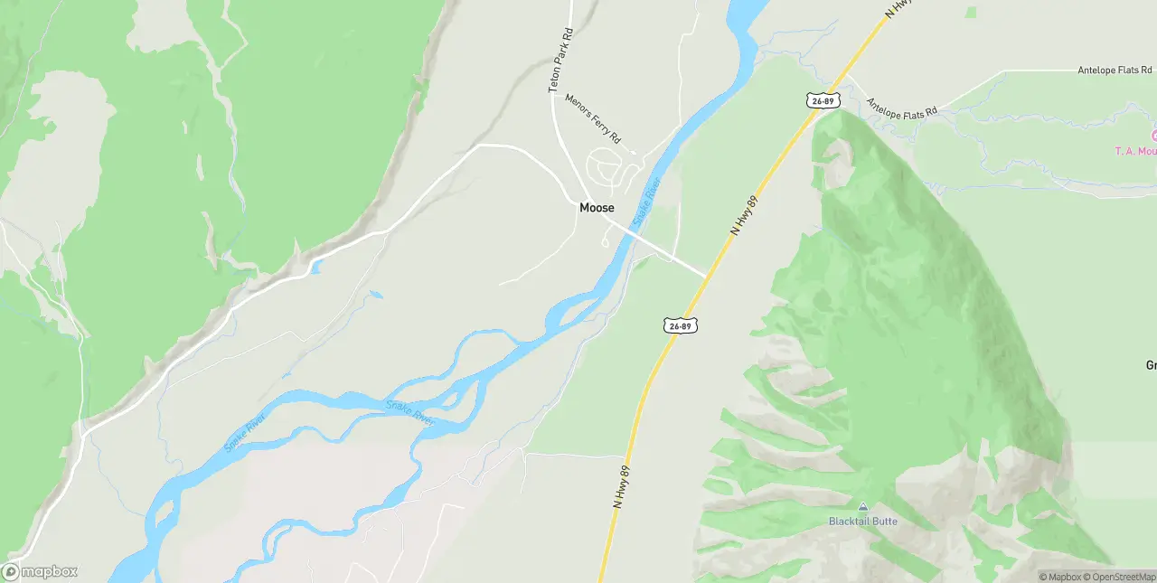 Internet in Moose