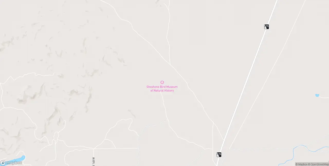 Internet in Shoshone