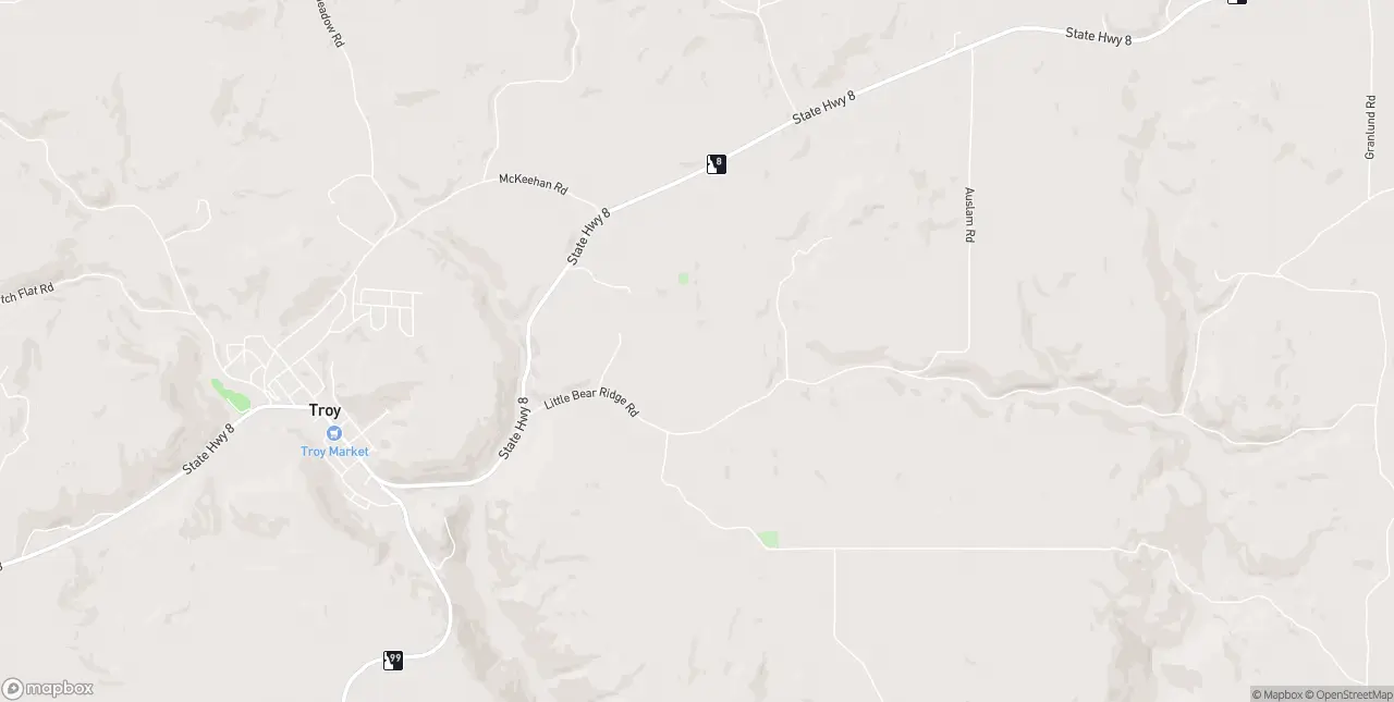 Internet in Troy