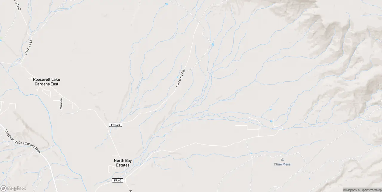 Internet in Tonto Basin