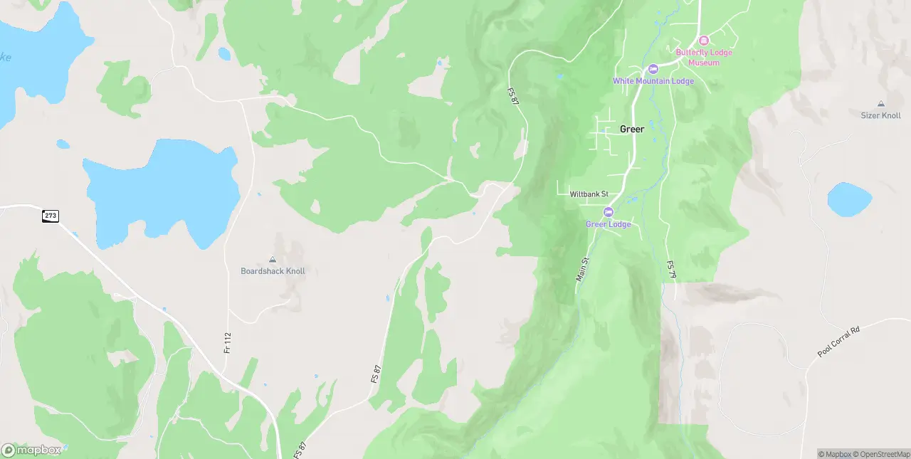 Internet in Greer