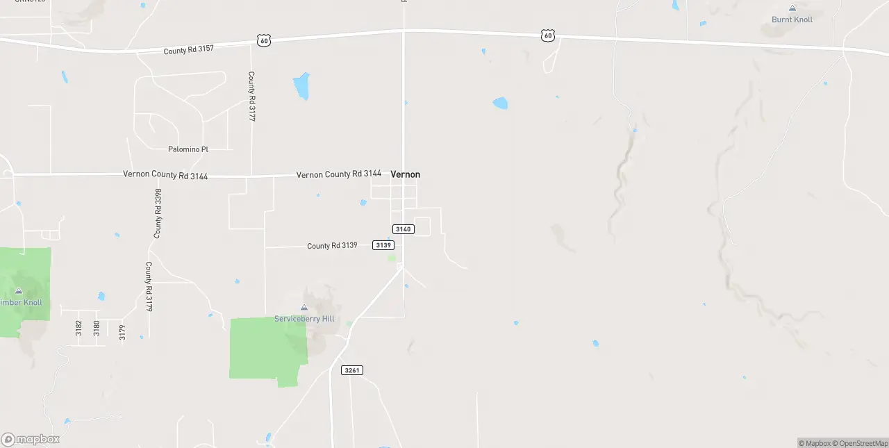 Internet in Vernon