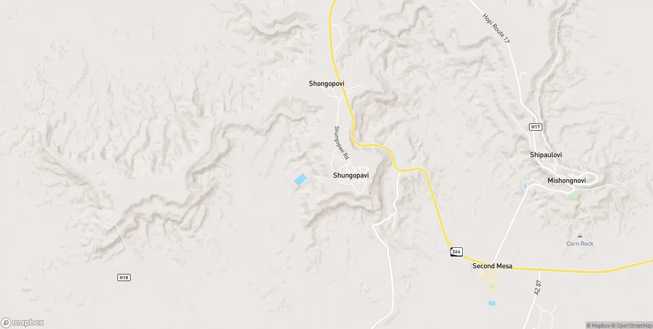 Internet in Second Mesa