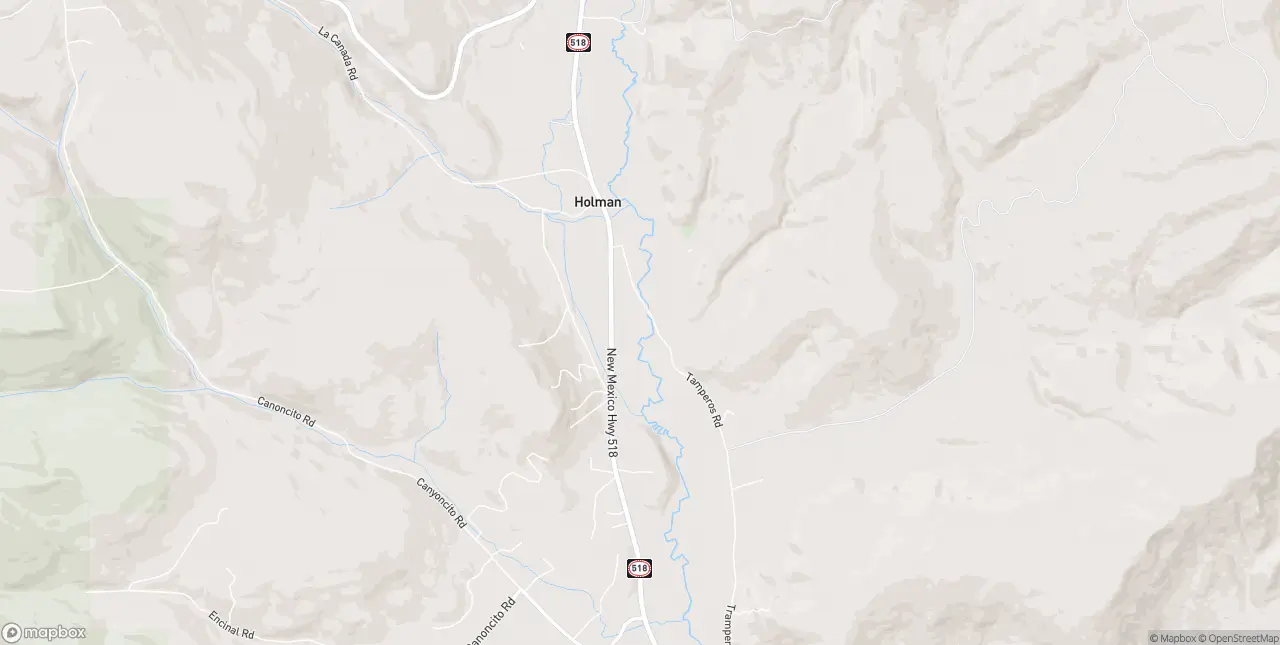 Internet in Holman