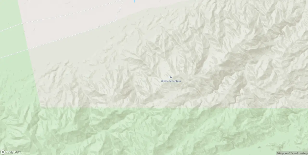 Internet in Needles