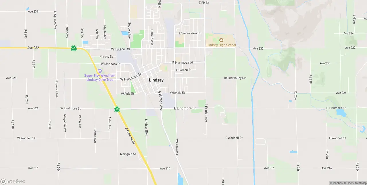 Internet in Lindsay