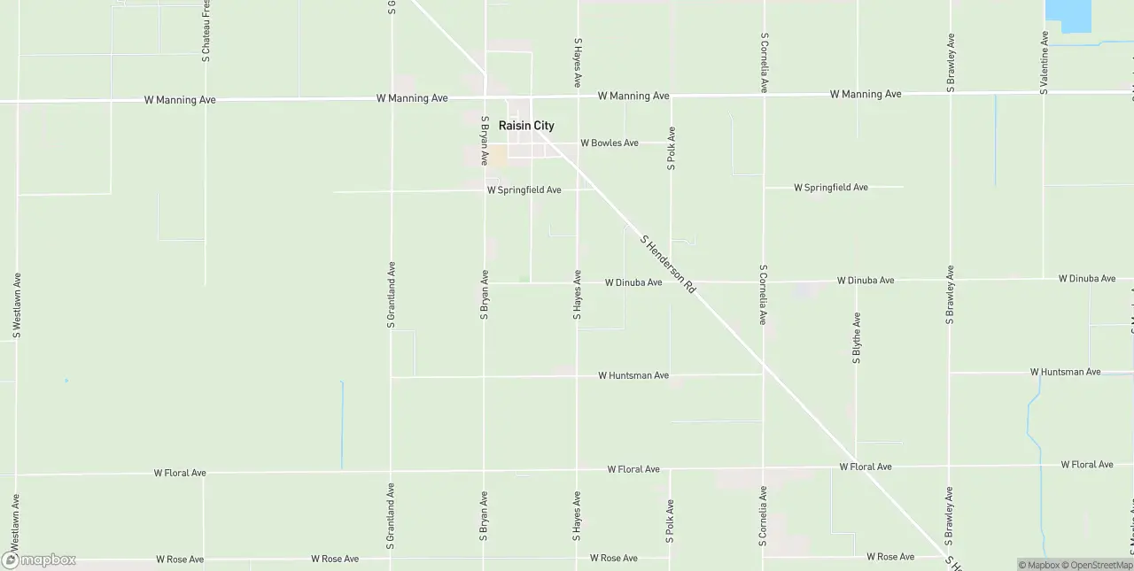 Internet in Raisin City