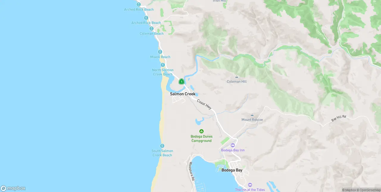Internet in Bodega Bay
