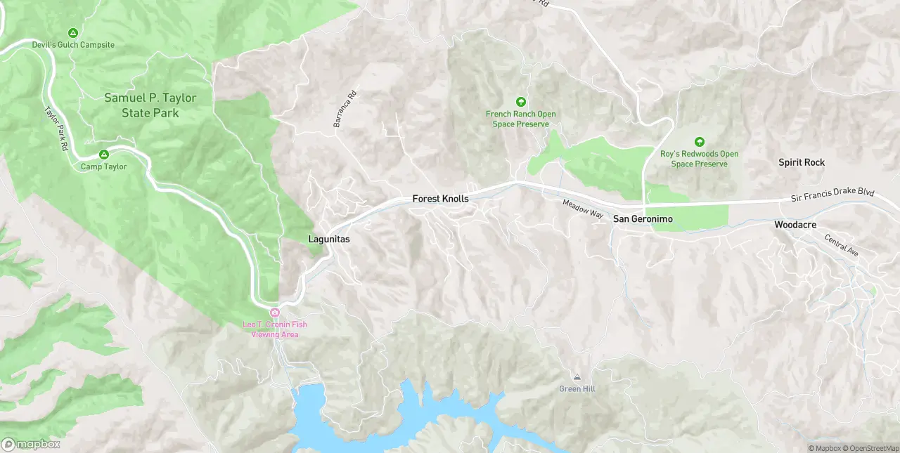 Internet in Forest Knolls
