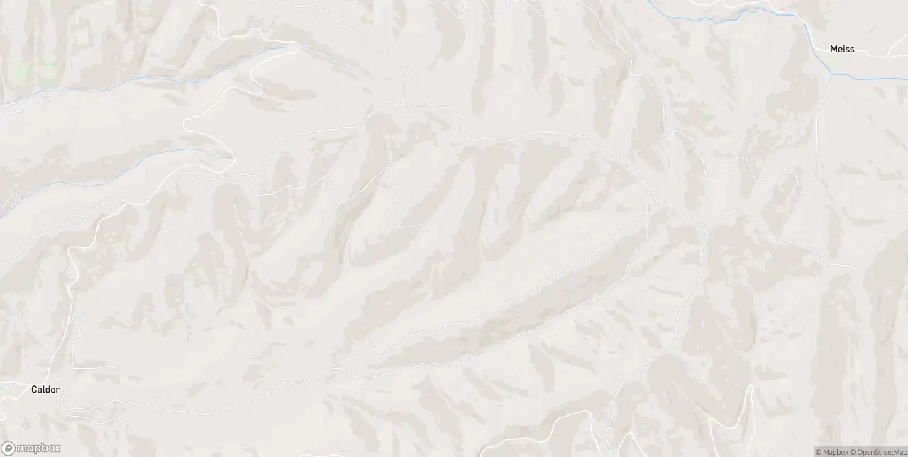 Internet in Grizzly Flats