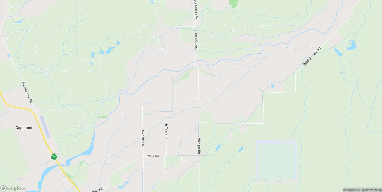 Internet in Vina