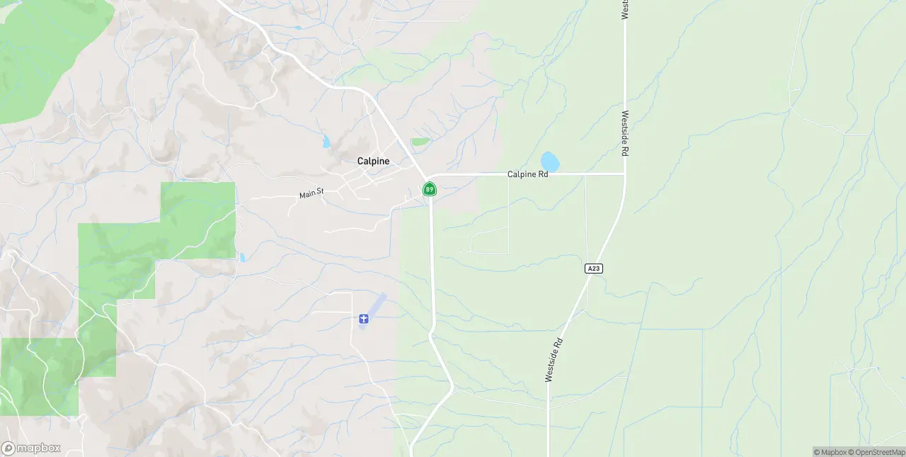 Internet in Calpine