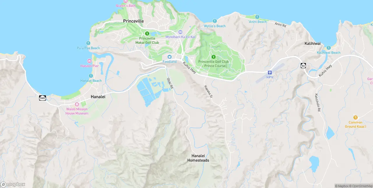 Internet in Princeville