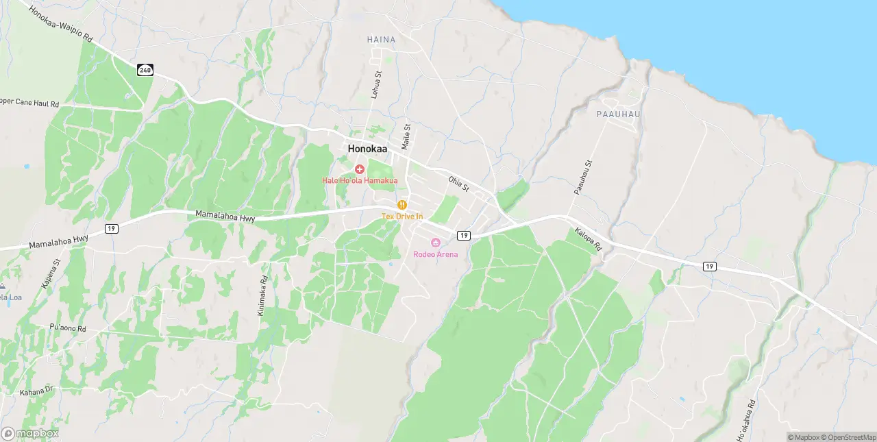 Internet in Honokaa
