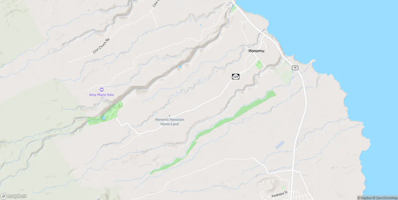 Internet in Honomu