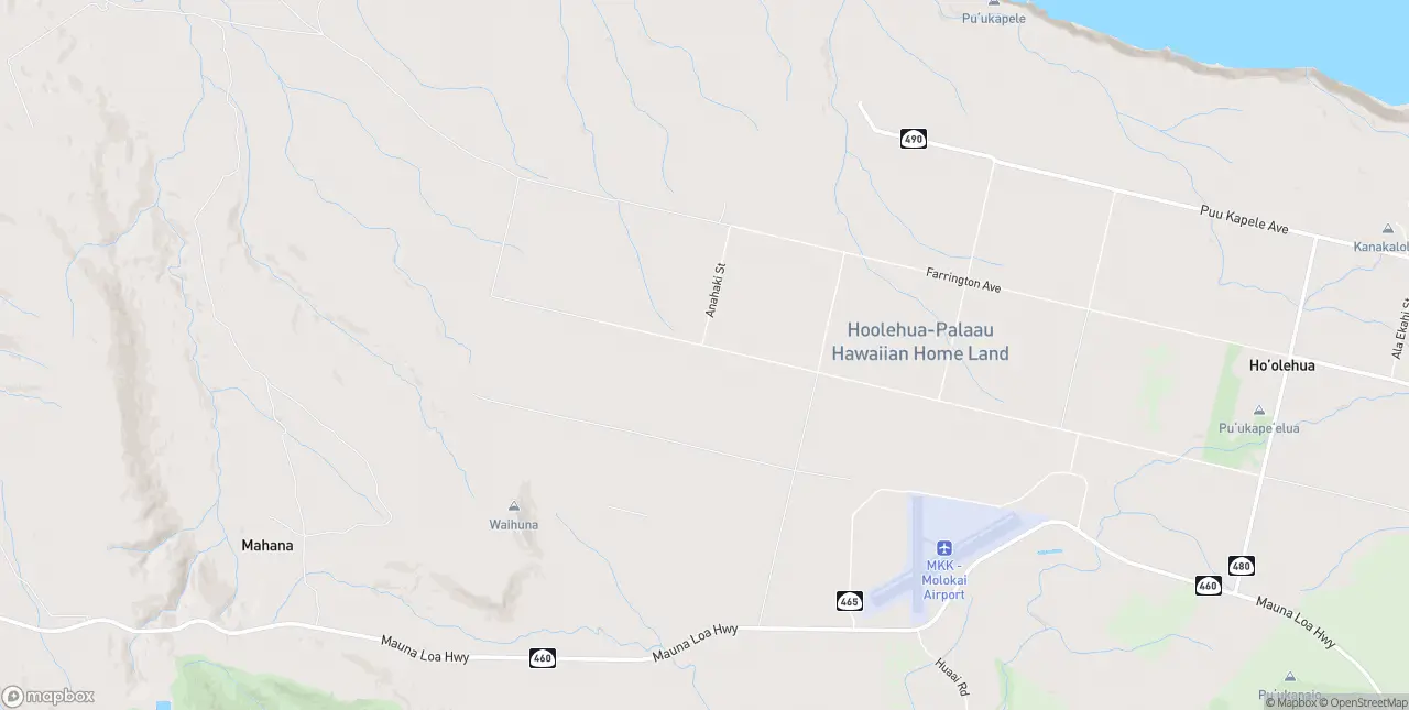 Internet in Hoolehua