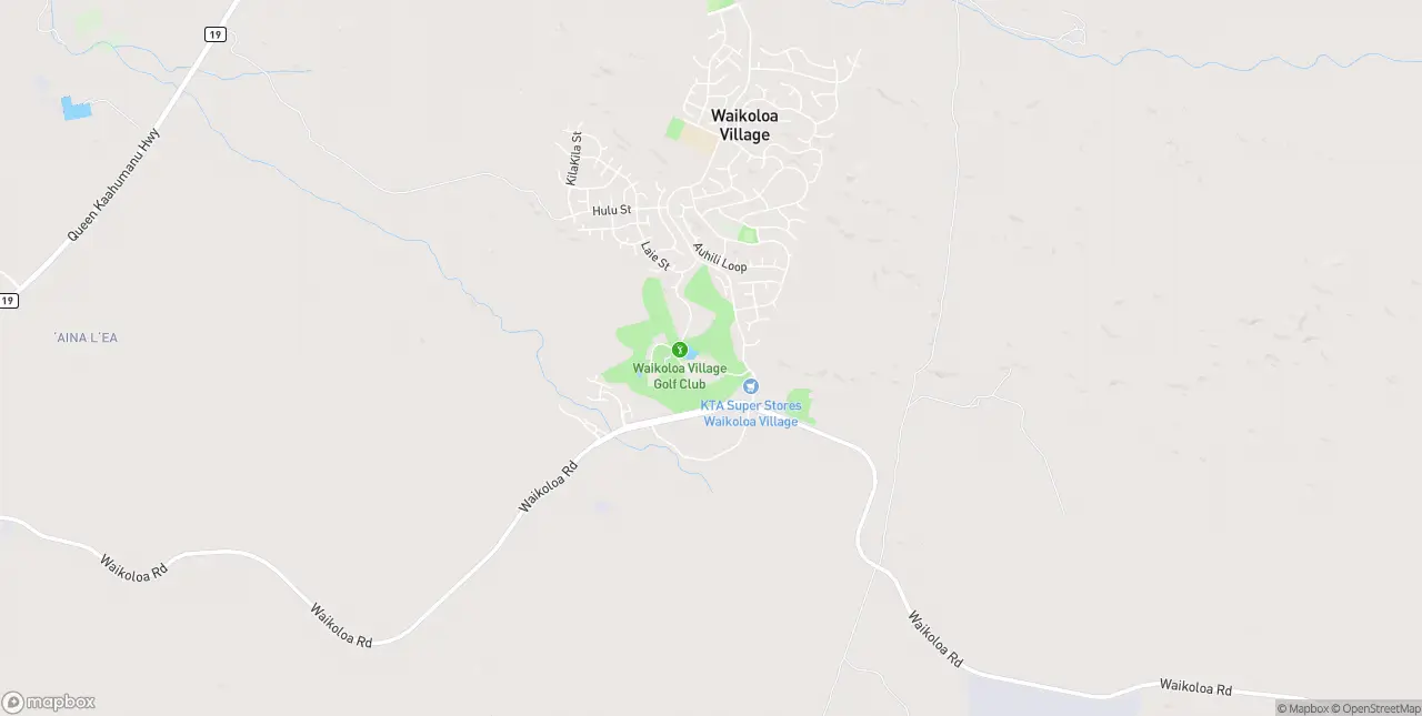 Internet in Waikoloa