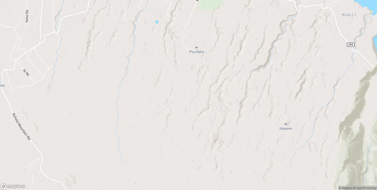 Internet in Kapaau