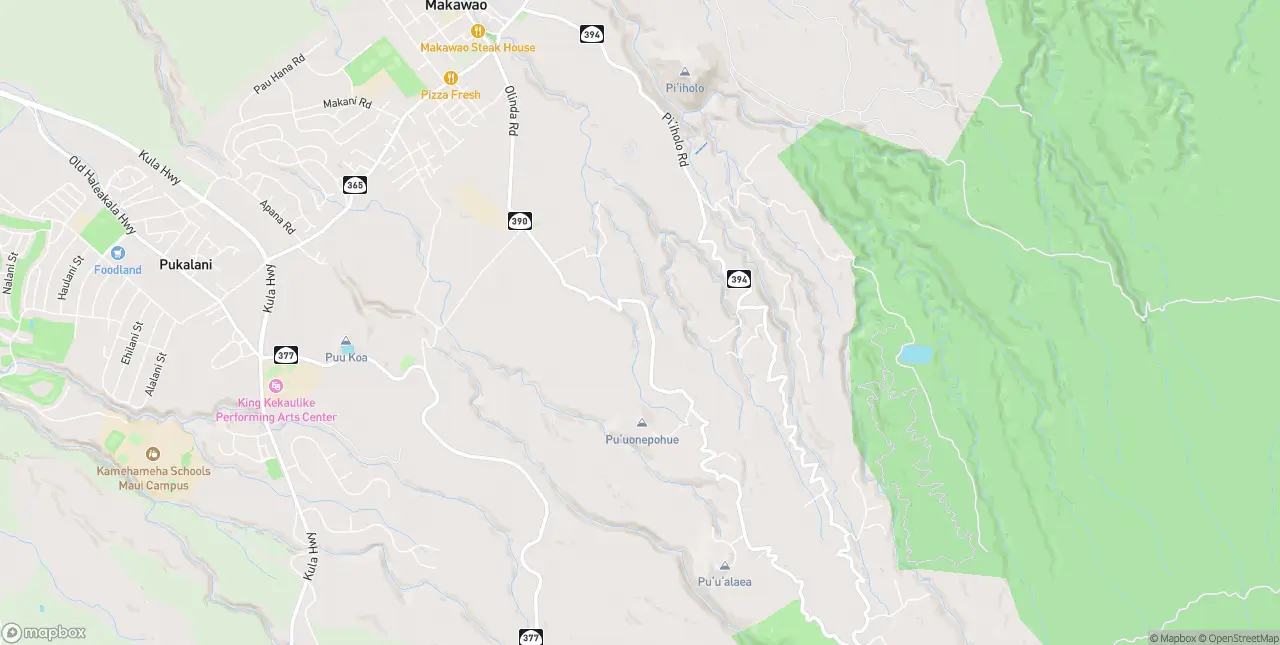 Internet in Makawao