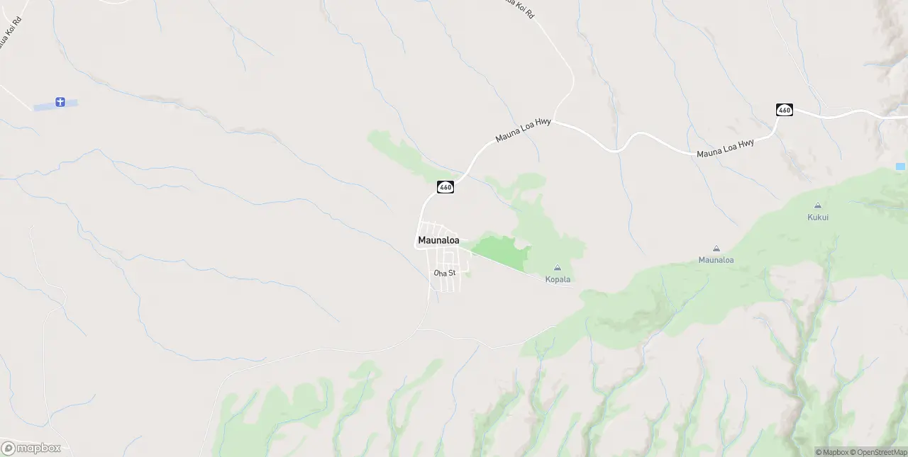 Internet in Maunaloa