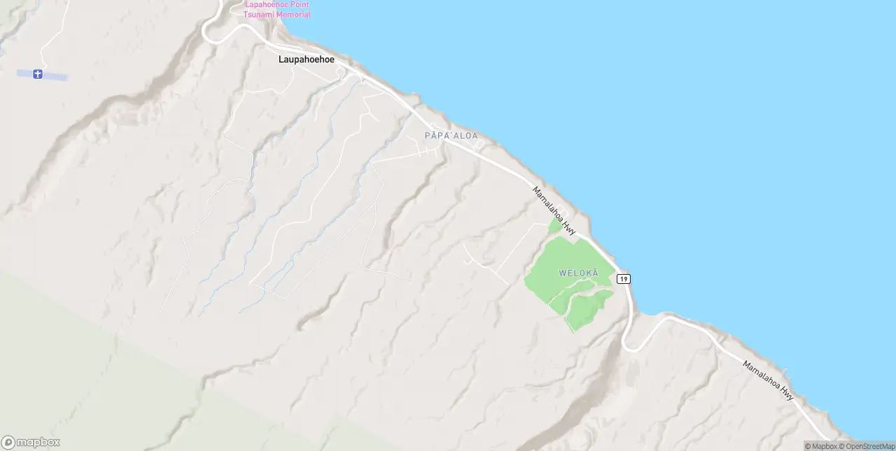 Internet in Papaaloa