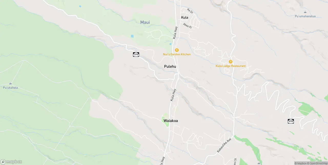 Internet in Puunene