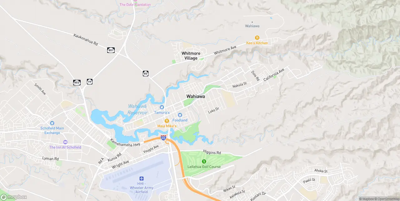 Internet in Wahiawa