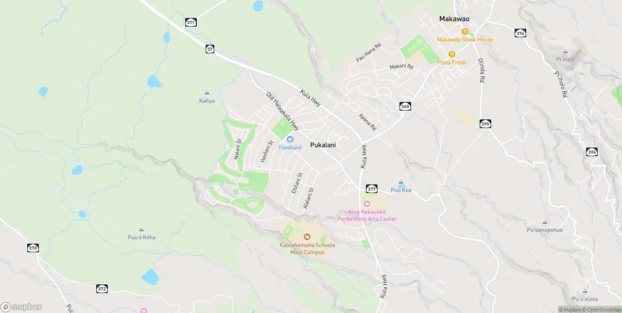 Internet in Pukalani