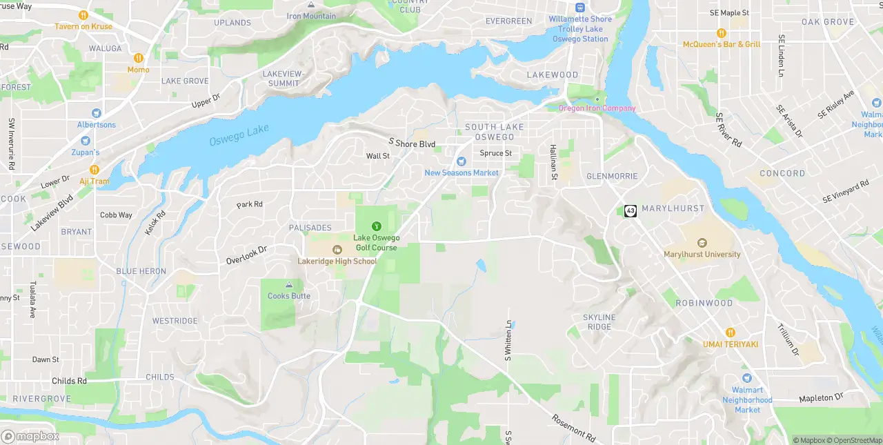 Internet in Lake Oswego