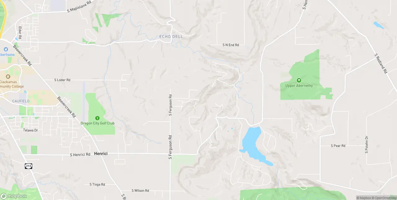 Internet in Oregon City