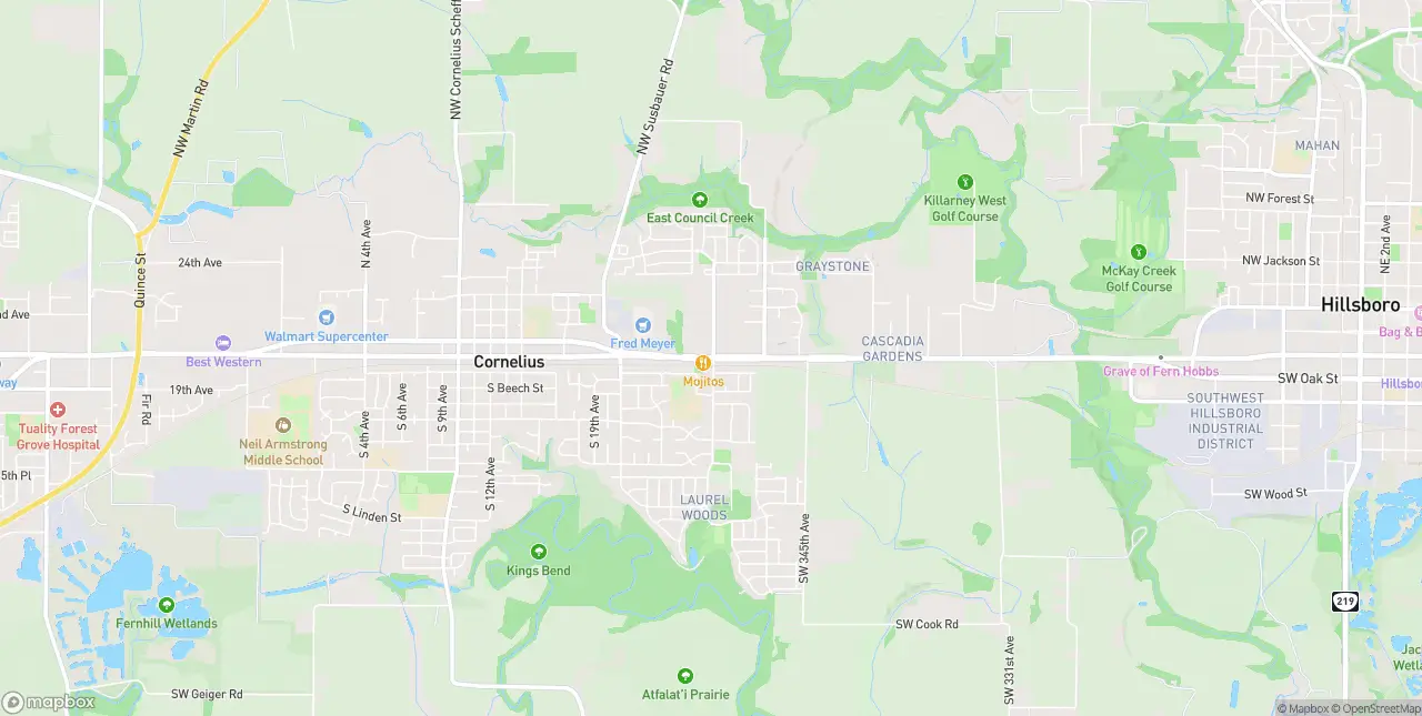 Internet in Cornelius