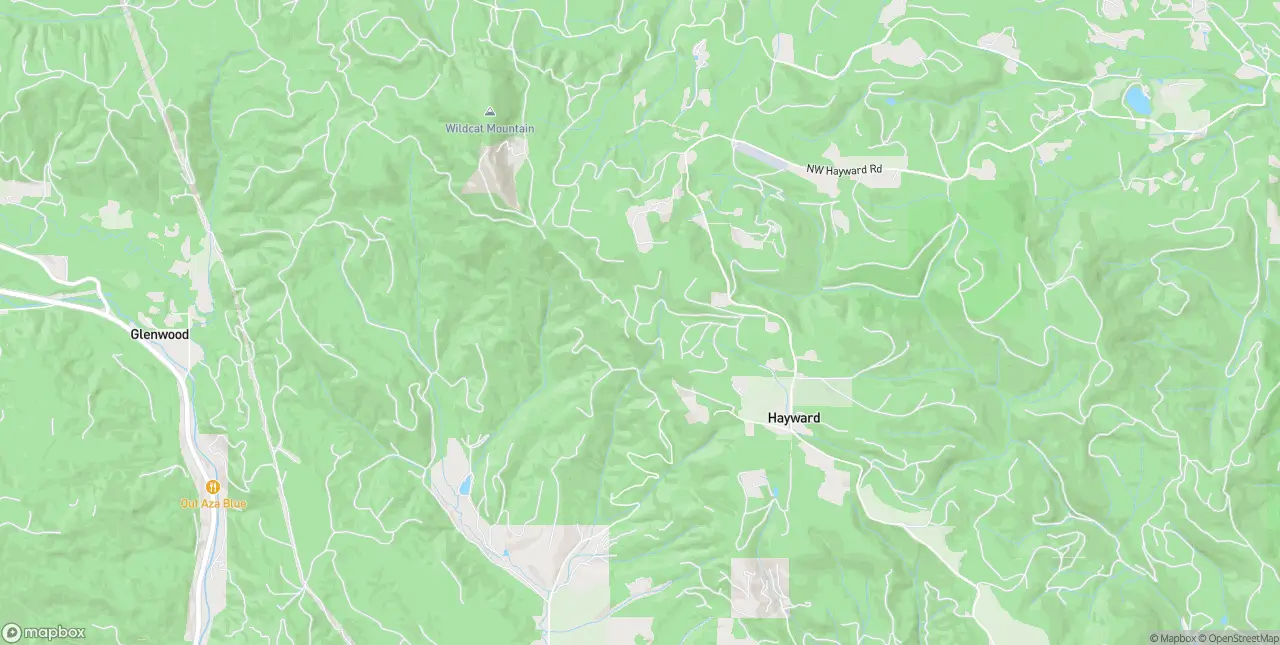 Internet in Manning