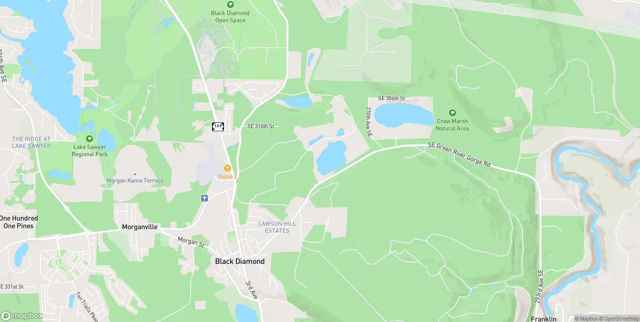 Internet in Black Diamond