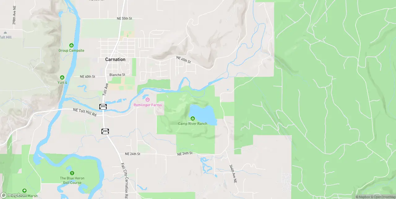 Internet in Carnation