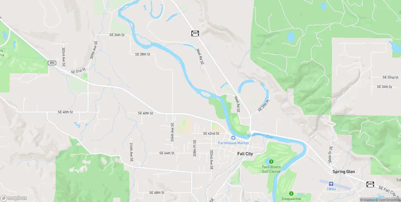 Internet in Fall City