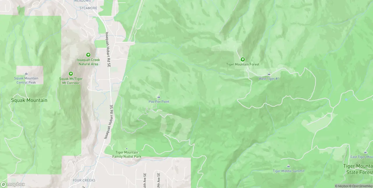 Internet in Issaquah