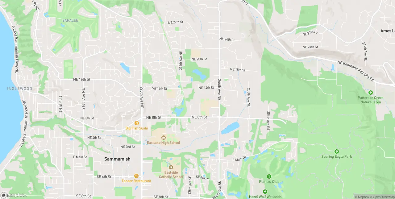 Internet in Sammamish