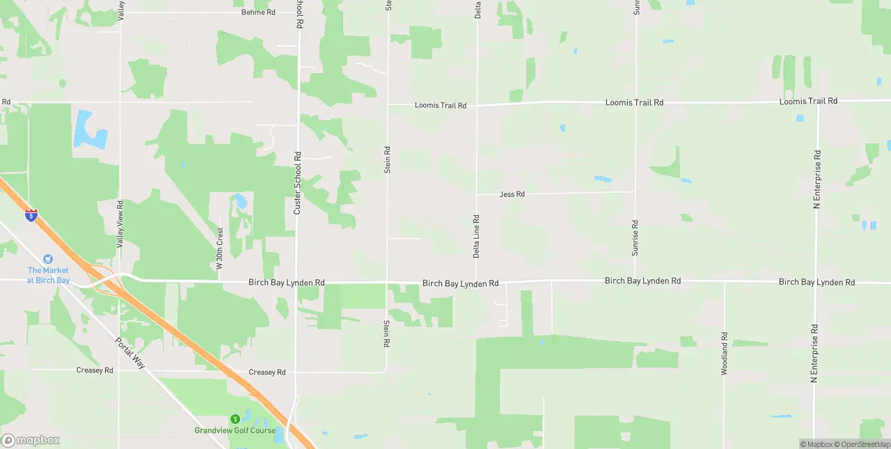 Internet in Custer