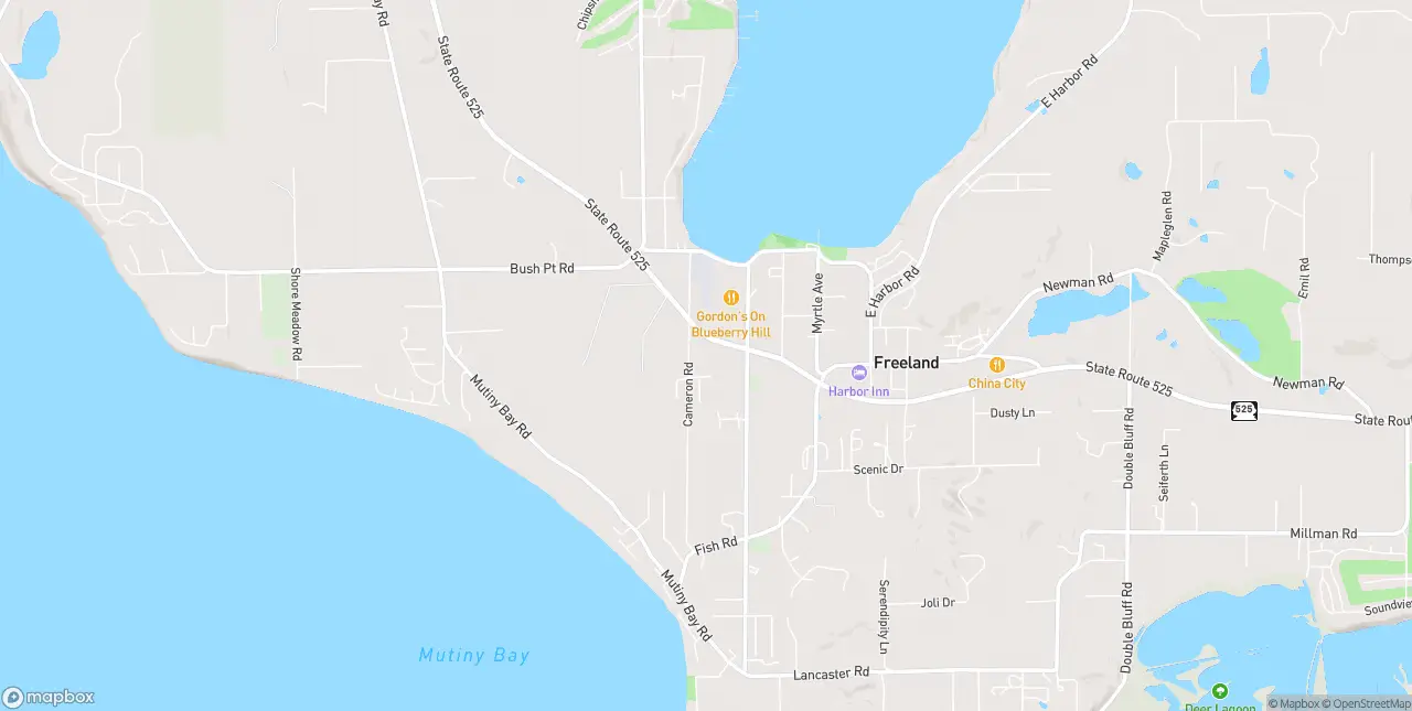 Internet in Freeland