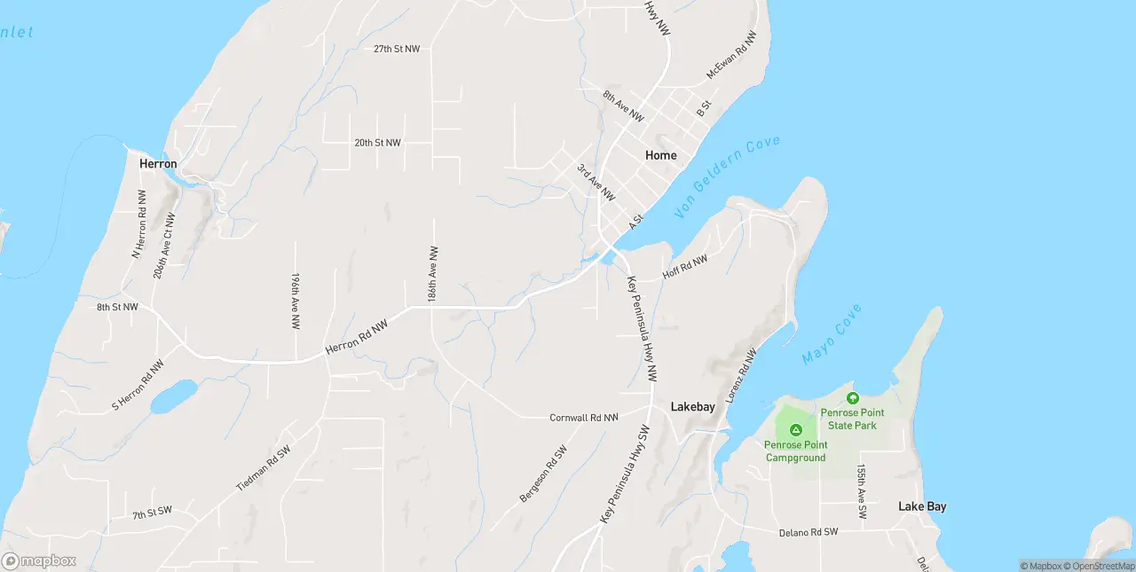 Internet in Lakebay