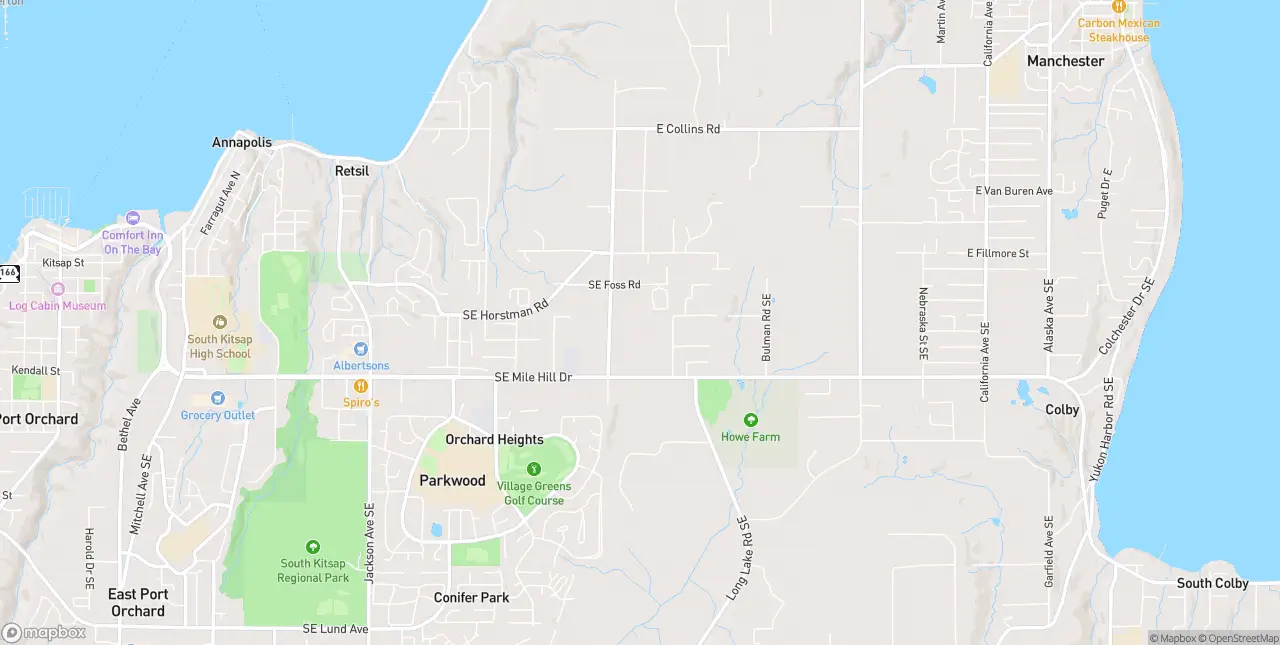 Internet in Port Orchard